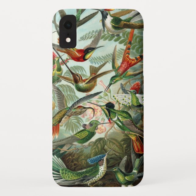 Coques Case-Mate iPhone Colibri (Dos)
