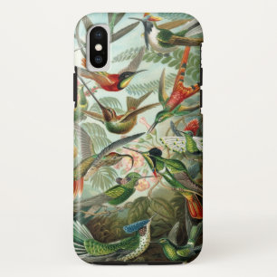 Coques Pour iPhone Colibri
