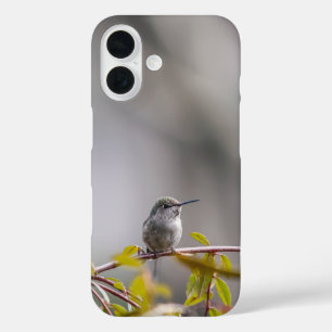 Coque Pour iPhone 16 Colibri 3346