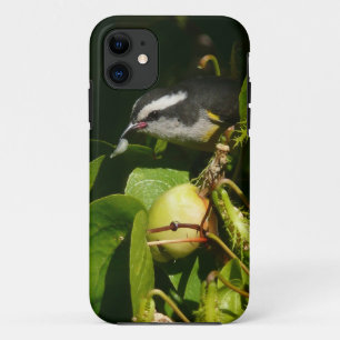 Case-Mate iPhone Case Colibri à gorge blanche mangeant Photographie trop