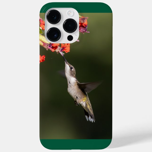 Coques Case-Mate iPhone Colibri à gorge rubis (Verso)