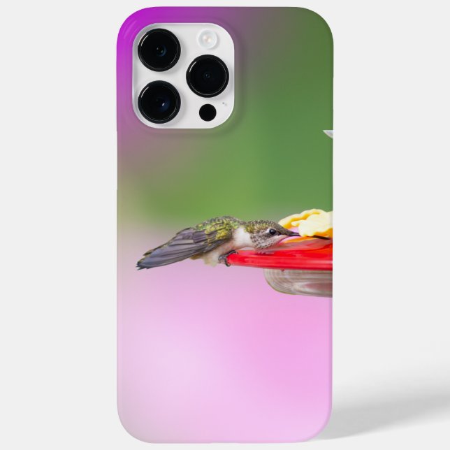 Coques Case-Mate iPhone Colibri à gorge rubis (Verso)