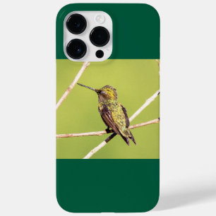Coque Pour Pour iPhone 14 Pro Max Colibri à gorge rubis 