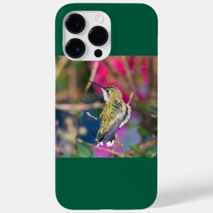 Coque Pour Pour iPhone 14 Pro Max Colibri à gorge rubis