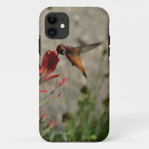 Case-Mate iPhone Case Colibri fleur sauvage rouge