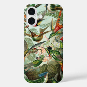 Coques iPhone 16 Colibris par Ernst Haeckel, Oiseaux Vintages