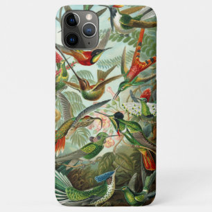 Coques Pour iPhone Colibris vibrants magnifiques Ernst Haeckel