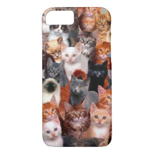 Coque iPhone 8/7 Collage de chat