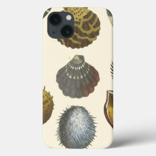 Coques Pour iPhone Collection Conchology