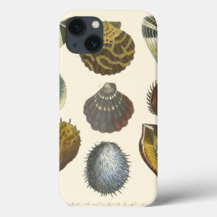 Etui iPhone 13 Collection de conchyliologie