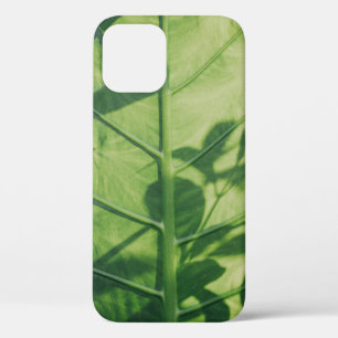 Case-Mate iPhone Case Colocasia feuille esculenta