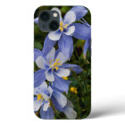 Colorado Blue Columbine près de Telluride Colorado