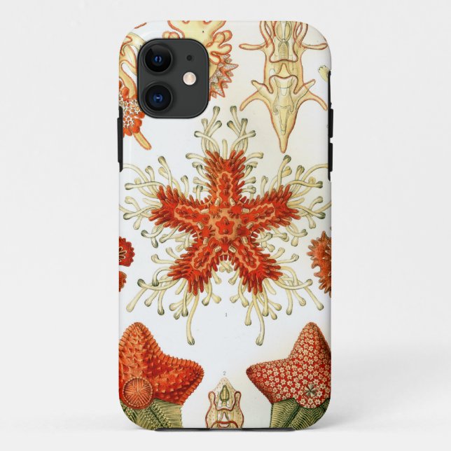 Coques Case-Mate iPhone Conceptions communes d'étoiles de mer (Dos)