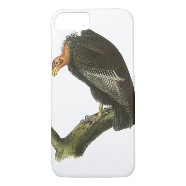 Coques Case-Mate iPhone Condor de Californie par Audubon (Dos)