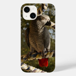 Coque Pour iPhone 14 Congo African Grey sur un Coque-Mate -Mate iPhone 