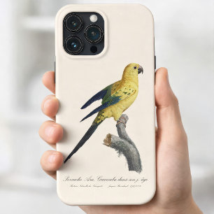 Case-Mate iPhone Case Conure soleil Aratinga solstitialis