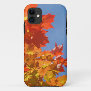 Coques iPhone Feuilles d'automne colorées Cieux bl