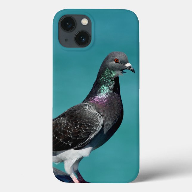 Coques Case-Mate iPhone Coques iphone Rock Pigeon (Verso)