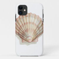 Coquillage rose et crème