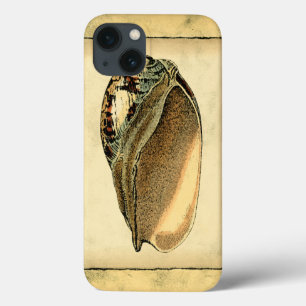 Case-Mate iPhone Case Coquillage Vintage rustique