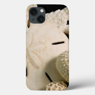 Coques Pour iPhone Coquilles blanches et dollar de sable