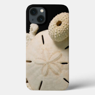 iPhone 13 Case Coquilles blanches et dollar de sable