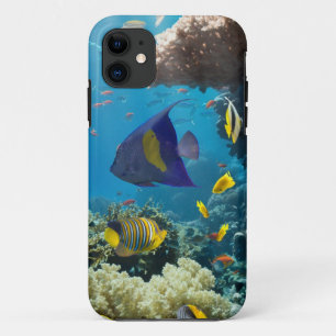 Coque Case-Mate Pour iPhone Corail et poissons en Mer Rouge, Egypte
