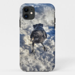Coque iPhone 11 Corbeau corbeau noir dans la photo de neige