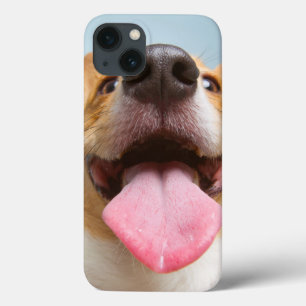 iPhone 13 Coque Corgi très heureux des images de Getty