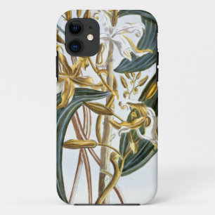 Coque Case-Mate Pour iPhone Cosses de vanille, plat 65, de 'collection