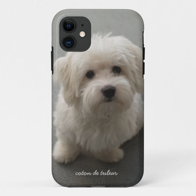 Coques Case-Mate iPhone Coton de Tulear (Dos)