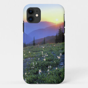 Case-Mate iPhone Case Coucher de soleil à Obstruciton Point, Parc nation