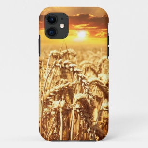 Case-Mate iPhone Case Coucher De Soleil Sur Le Cornfield