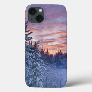 Case-Mate iPhone Case Coucher de soleil vibrant peint le ciel au-dessus