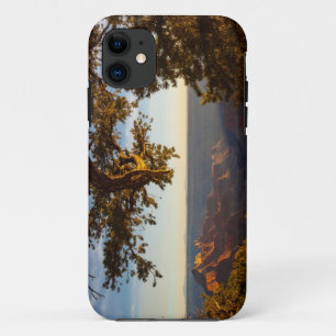 Coque iPhone 11 Coucher du soleil au-dessus de canyon grand