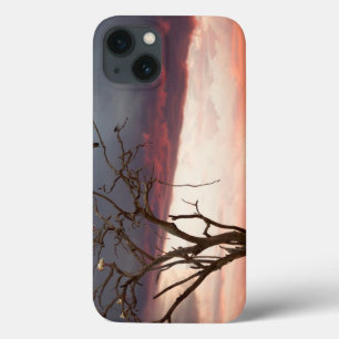 Coques Pour iPhone Coucher Du Soleil Dans Le Marais De Kandheri Avec 