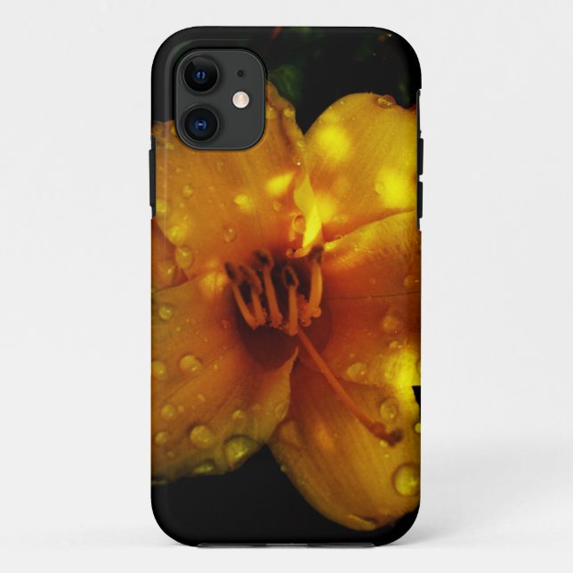 Coques Case-Mate iPhone Coucher du soleil Stella (Dos)