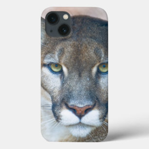 Etui iPhone Case-Mate Cougar, lion de montagne, panthère de Floride, Pum