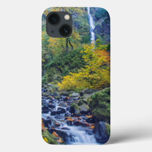 Etui iPhone Case-Mate Couleur d'automne le long des chutes de Starvation