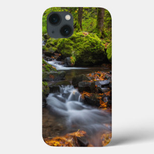 Etui iPhone Case-Mate Couleur d'automne le long des chutes de Starvation