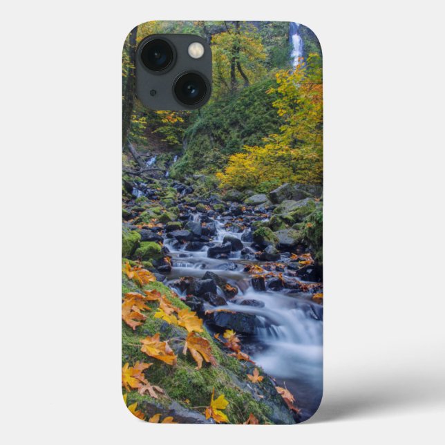 Coques Case-Mate iPhone Couleur d'automne le long des chutes du ruisseau S (Verso)