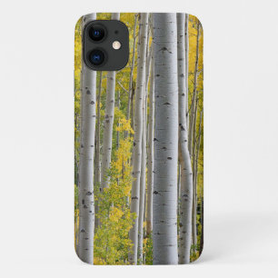 Case-Mate iPhone Case Couleurs d'automne de l'Aspen Troncs d'arbre Splen