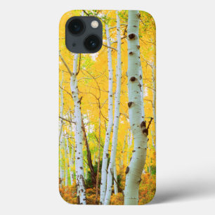 Etui iPhone 13 Couleurs d'automne des arbres d'Aspen 1
