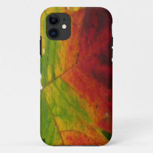 Coque iPhone 11 Couleurs de la feuille d'érable Automne Photograph