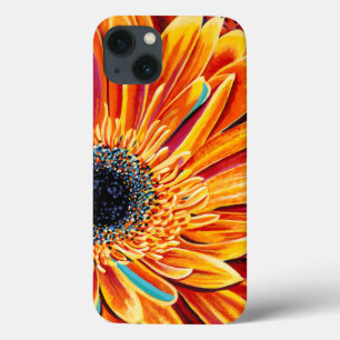 iPhone 13 Case Couleurs éclatées II