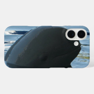 Coque Pour iPhone 16 Coup d'oeil de dauphin d'Irrawaddy