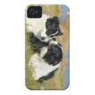 Couverture de l'iPhone 4S de border collie