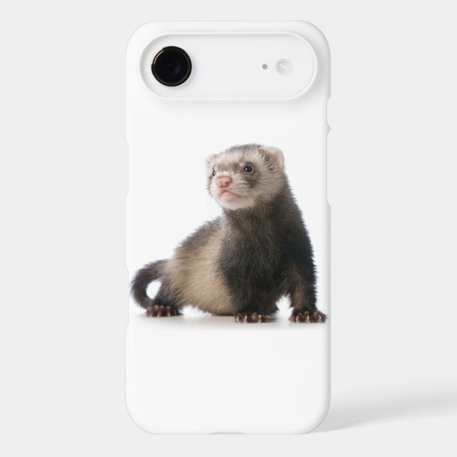 Coques Case-Mate iPhone Couverture de téléphone de furet (Verso)