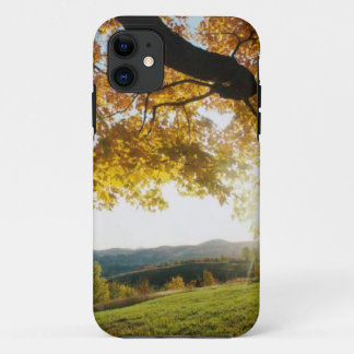 COQUE Case-Mate POUR iPhone COUVERTURE D'IPHONE - FEUILLE D'AUTOMNE