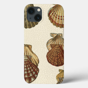 iPhone 13 Case Crackled Antique Shells